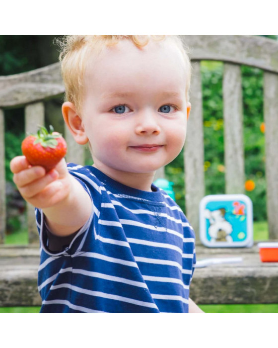 Tumtum Nesting Snackpots Alat Makan Bayi