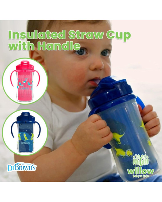 Dr. Brown’s Insulated Straw Cup with Handle Botol Minum Anak