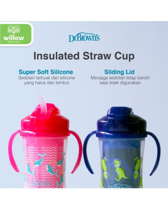 Dr. Brown’s Insulated Straw Cup with Handle Botol Minum Anak