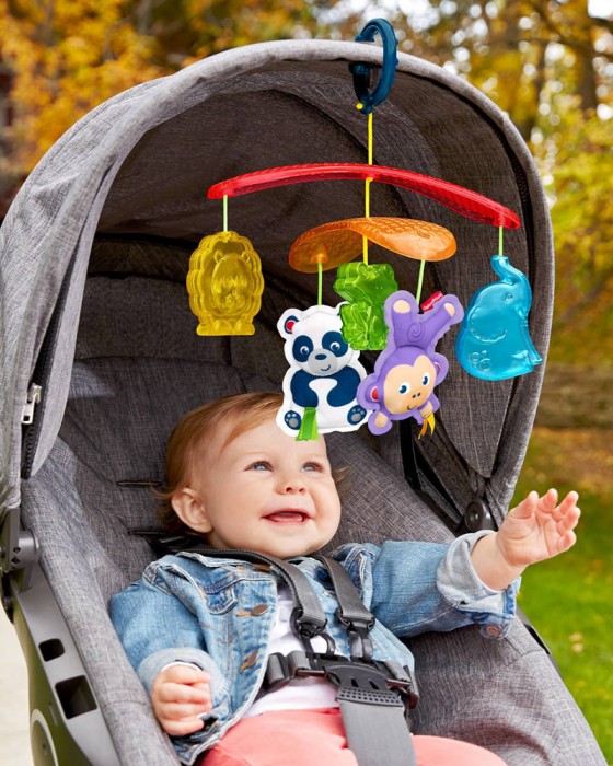 FISHER PRICE DYW54 NEWBORN ON-THE-GO STROLLER MOBILE